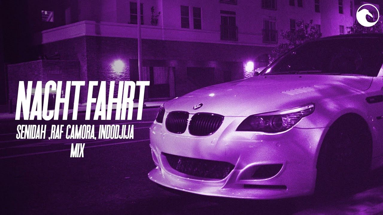 🌑 Nachtfahrt | Late night drive mix 2 ( Senidah , Raf Camora , Indodjija )