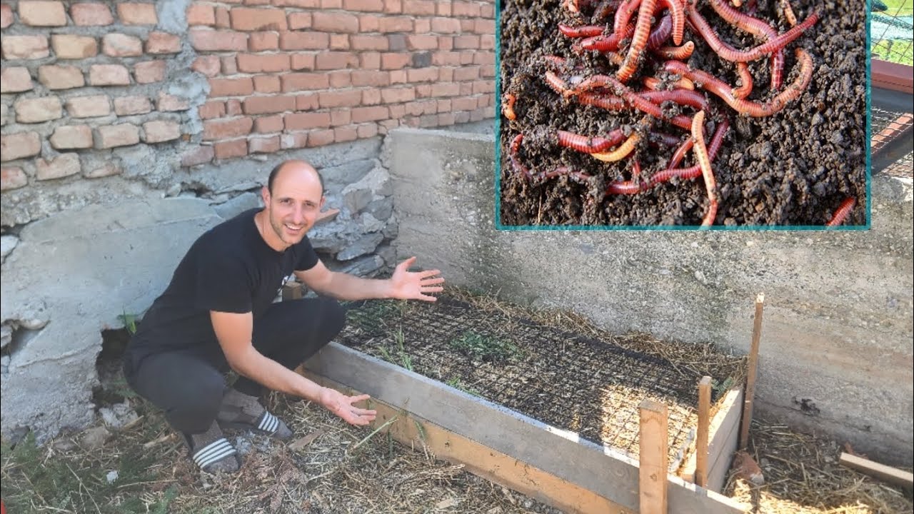 GLISTENJAK i Kalifornisjke Gliste - Kako napraviti najkvalitetniji humus iz kućnog odpada