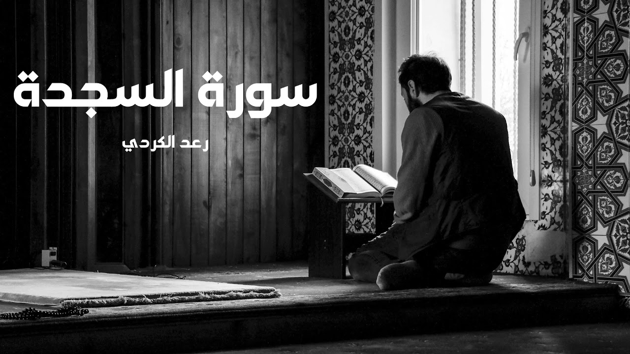 سورة السجدة مكررة القارئ رعد الكردي