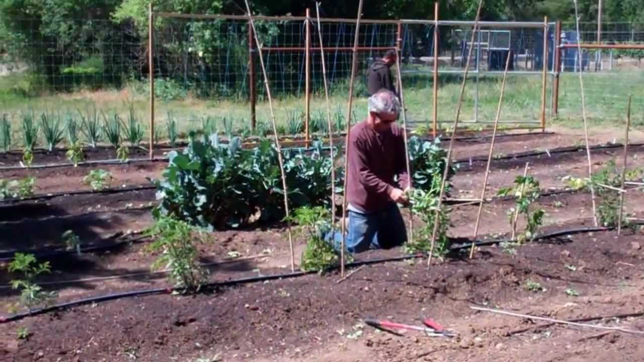 Hop Kiln Garden Tour