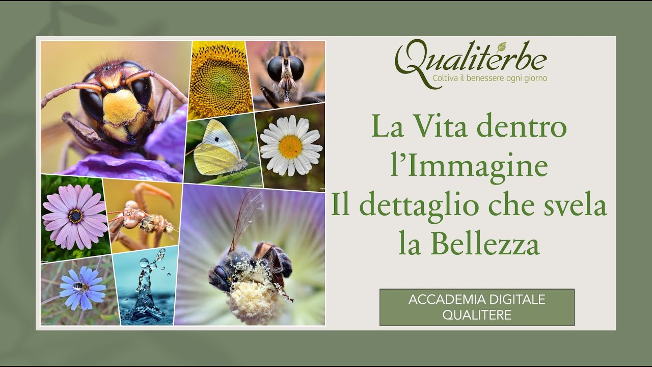 LA VITA DENTRO L'IMMAGINE   ACCADEMIA DIGITALE QUALITERBE