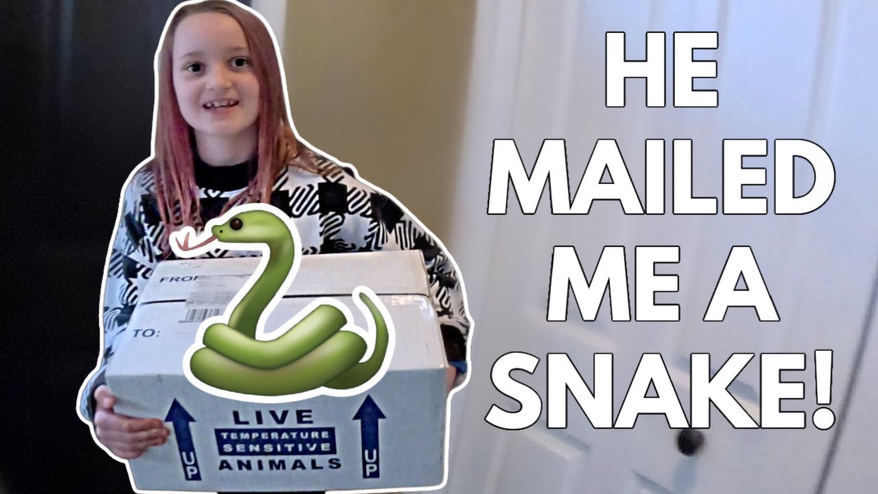 Tyler Nolan sent me a SNAKE in the mail! 🐍📭