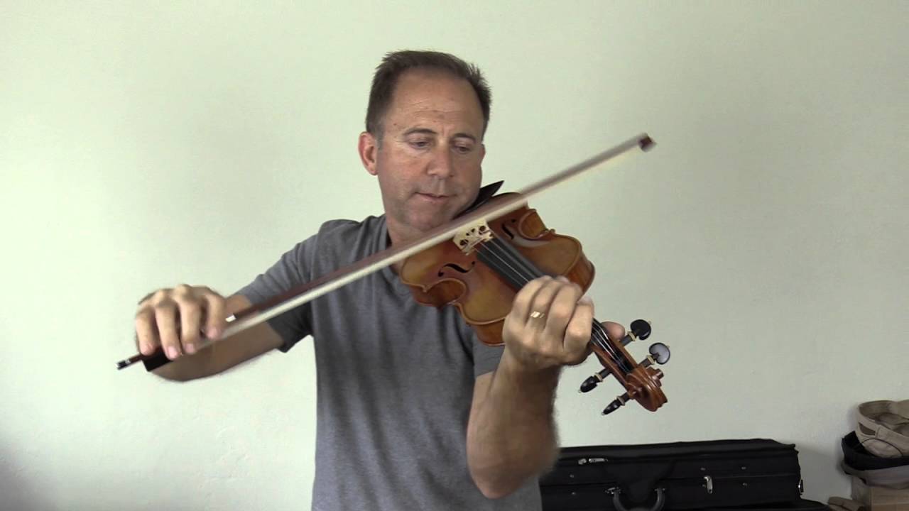 Holstein Soil Violin Comparison for Shirley