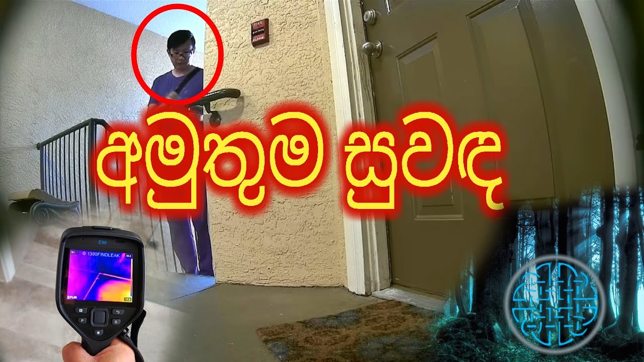 අසාර්ථක වූ පළිගැනීම (සත්‍ය කතාවක් ).....