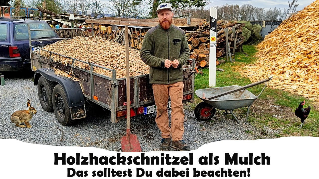 Holz Hackschnitzel als Mulch für Wege und Beete das ist zu beachten