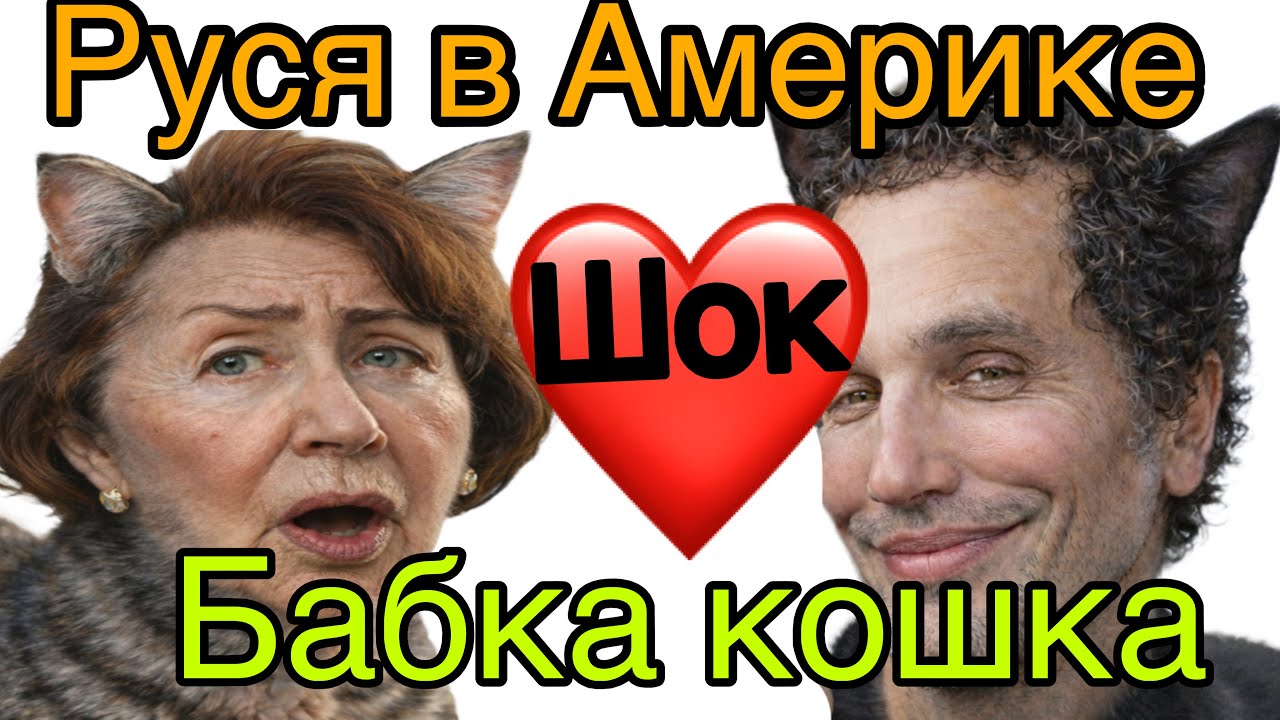 РУСЯ В АМЕРИКЕ: Баб Света + Руся, старая кошка и стерильный кот . ШОК 🤦