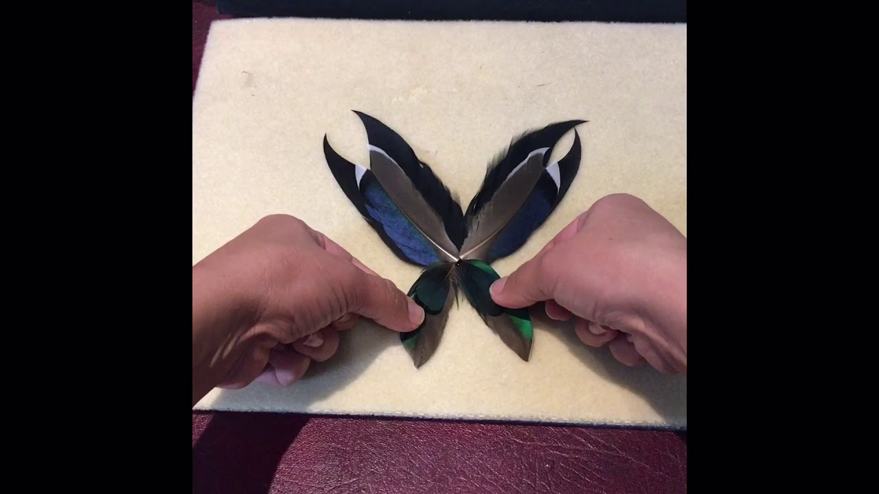 Feather Butterfly Brooch Tutorial - Como Fazer Um Broche Com Penas - Fashion Accessory - Complement
