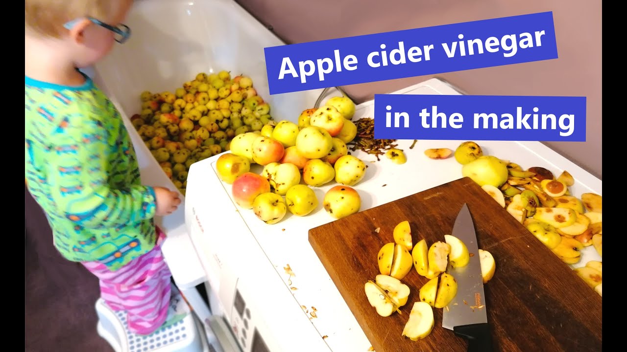How to make homemade apple cider vinegar - 50 litres (13 gallons) of chopped apples! Part 1