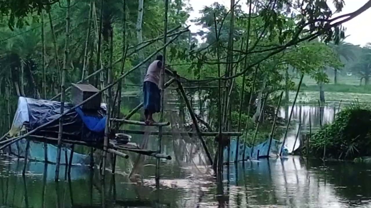 প্রেসারে মাছ ধরার একটি অপরূপ দৃশ্য