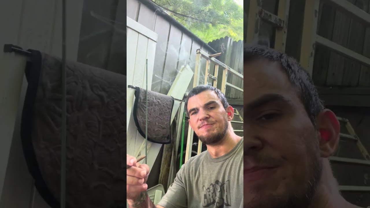 Donny Burger strain review. 