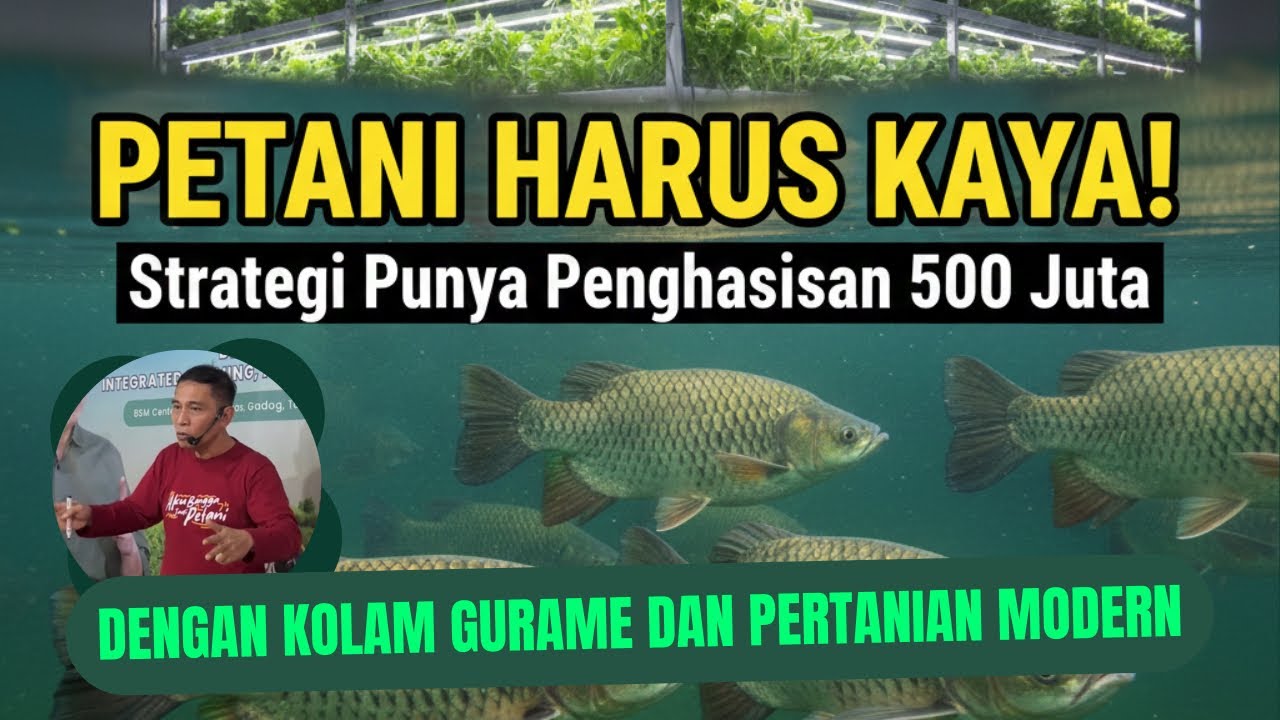 PETANI HARUS KAYA! Strategi Penghasilan 500 Juta dari Kolam Gurame & Pertanian Modern