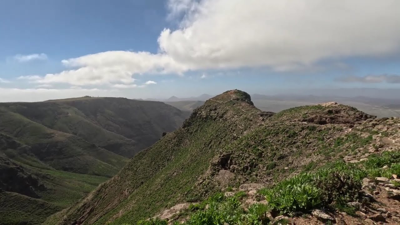 Scary Heights (Walk) (4K)