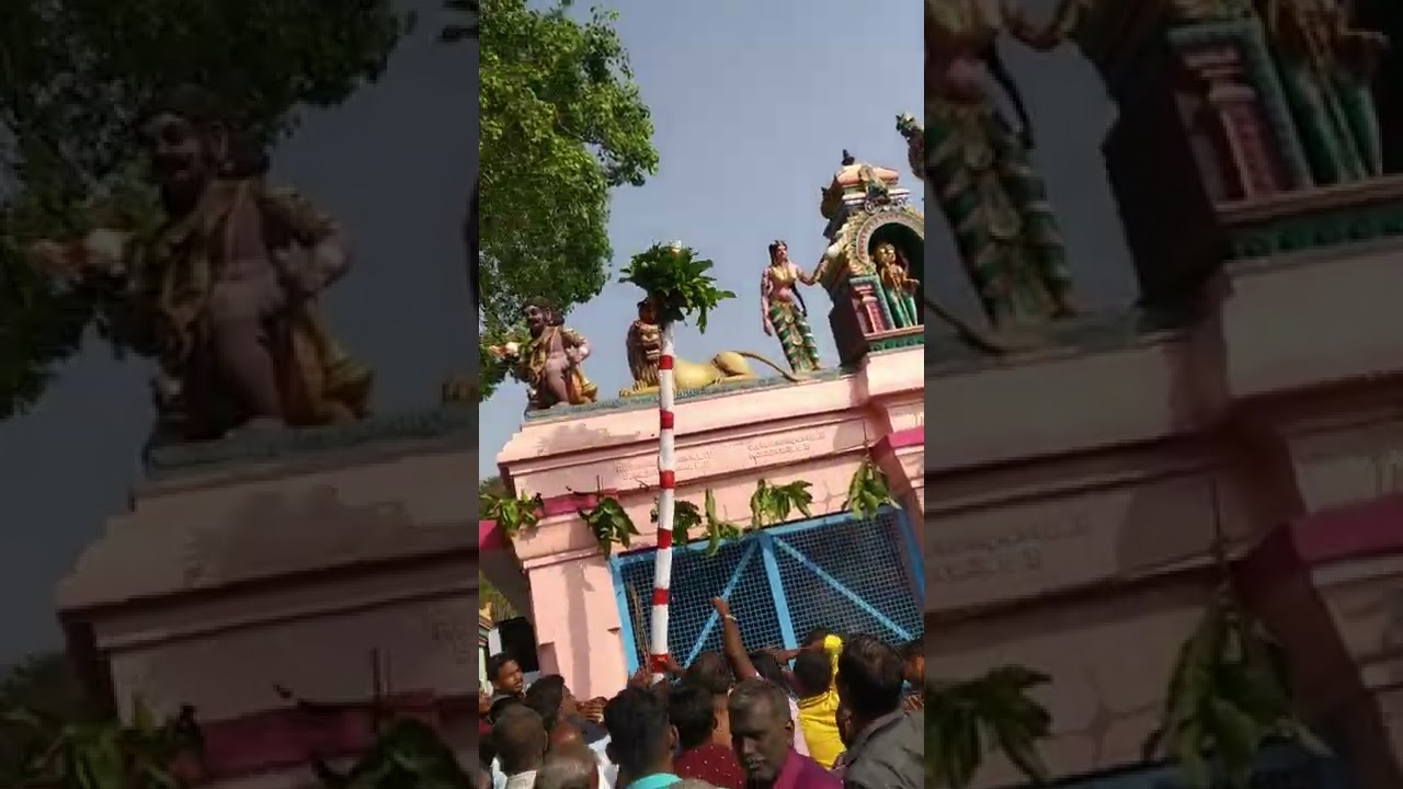 sree Vana peaci amman kovil kottanthalam