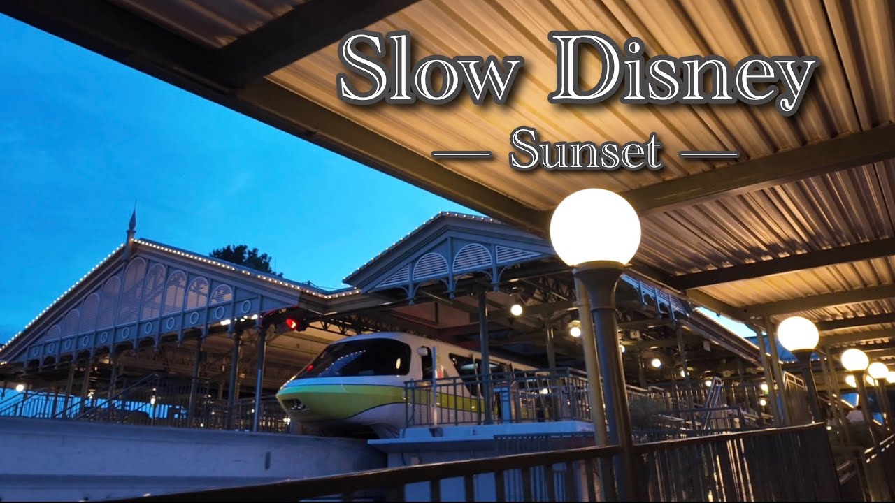 🌙 Ride With Me | Disney Buses, Monorails & Ferry at Sunset