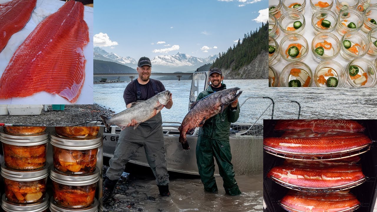 The Best Salmon In The World