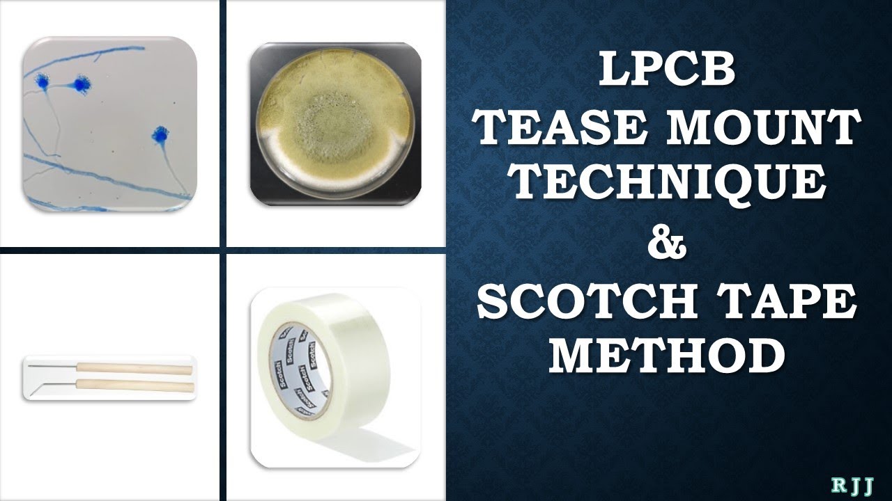 Подготовка с помощью клейкой ленты LPCB Tease Mount и скотча.