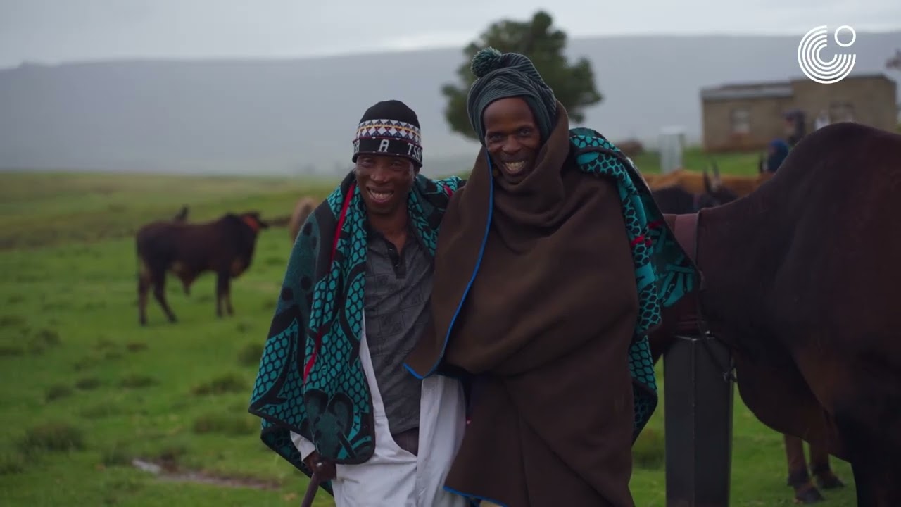 PEISO EA LIKHOMO: MASTERS OF THE BASOTHO CATTLE RACE GPS (GOETHE-INSTITUT PROJECT SPACE 2025)