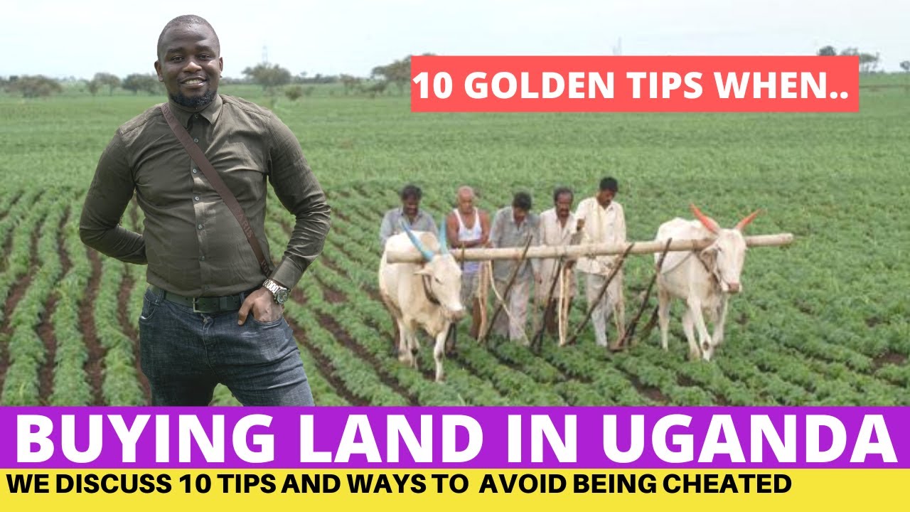 Important Tips When Buying Land In Uganda