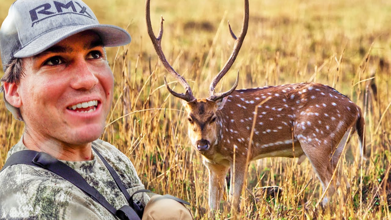 ISLAND COVERED IN AXIS DEER!!! Epic Lanai Archery Hunting