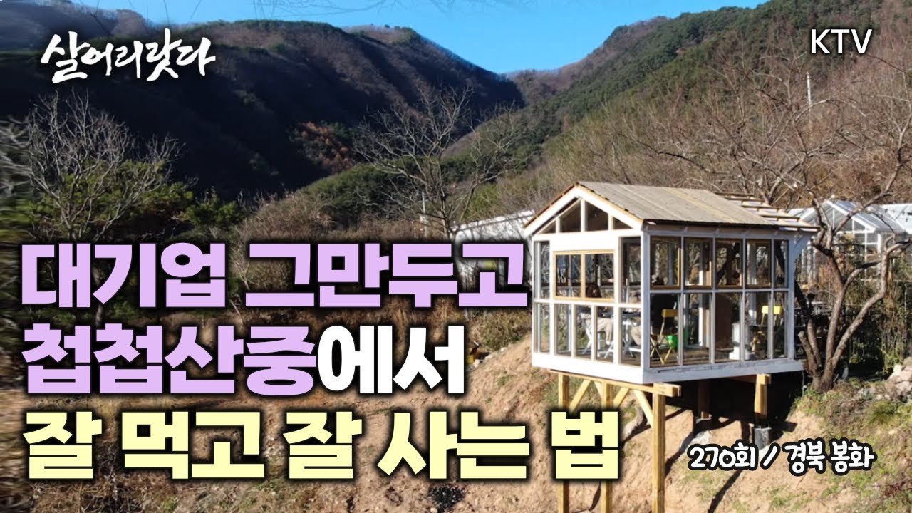 (경북 봉화/270회) 1년 전에 예약이 꽉 차는 시골민박이 있다? 귀촌을 꿈꾼다면 우리처럼 어때요? koreatv, accommodation, cafe