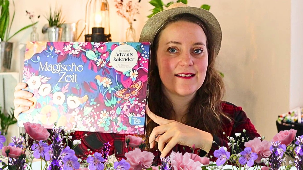 Der magische Saatgut-Adventskalender 2024 mit Blumen