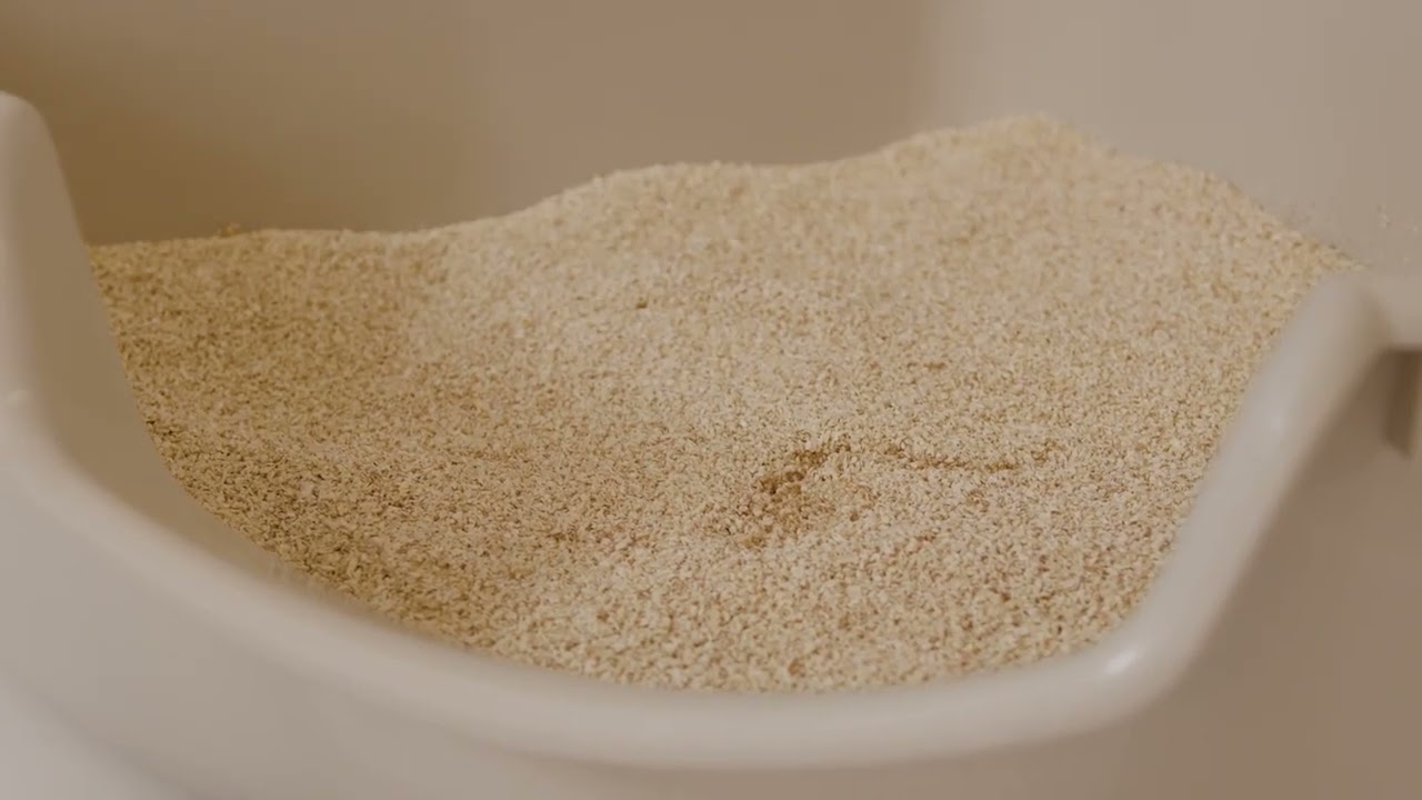 SoftCat natural litter - The absorbent miracle made from corn - made by portapet