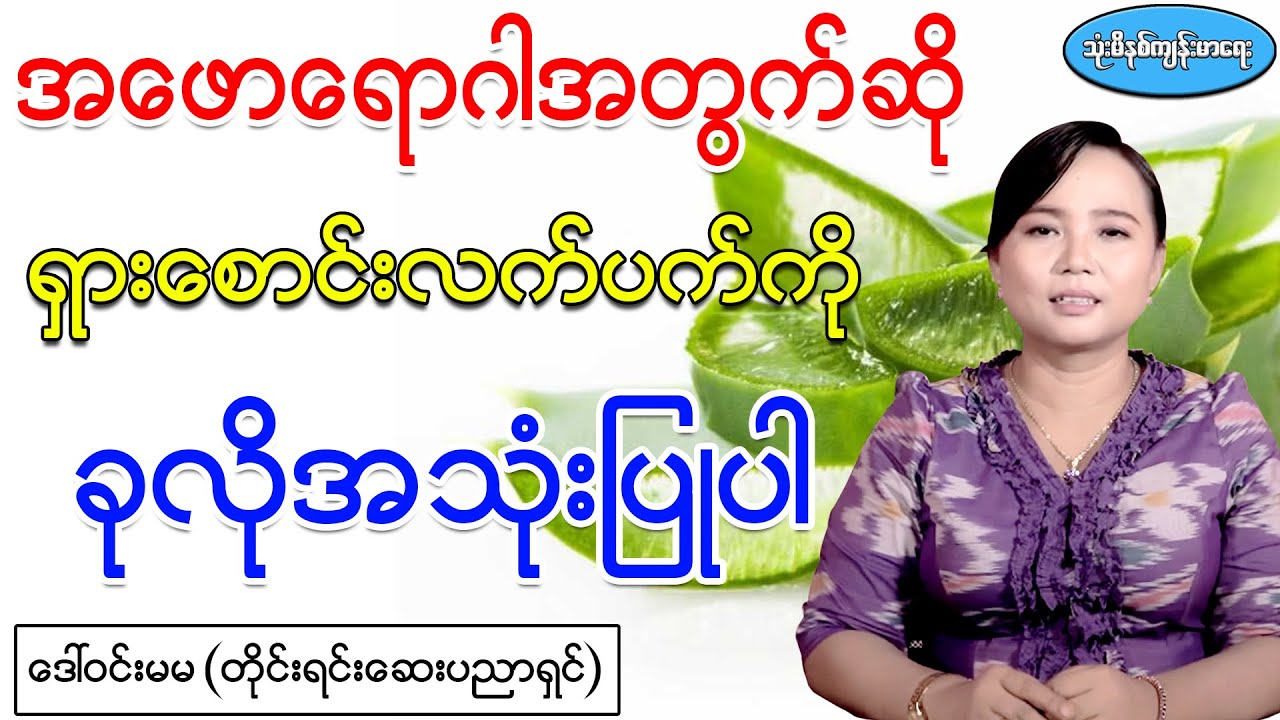 အဖောရောဂါအတွက်ဆို  ရှားစောင်းလက်ပက်ကိုသာ ခုလိုသာအသုံးပြုပါ