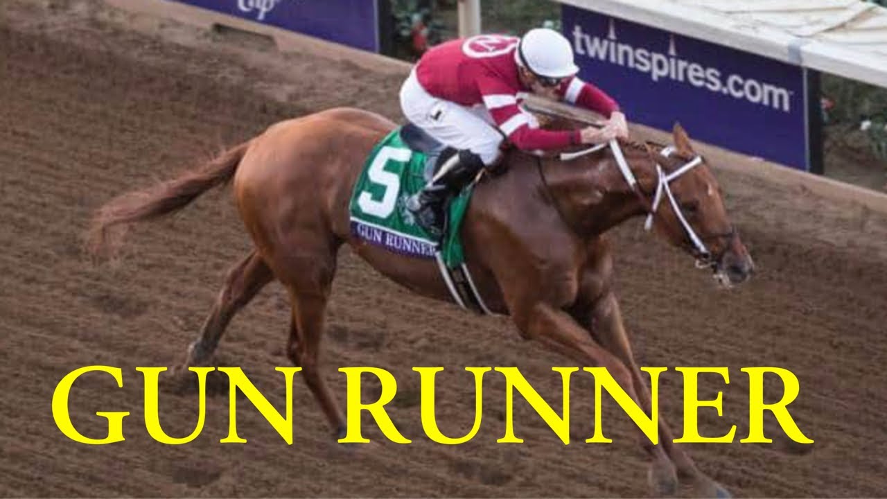 Talking Racehorses: Gun Runner