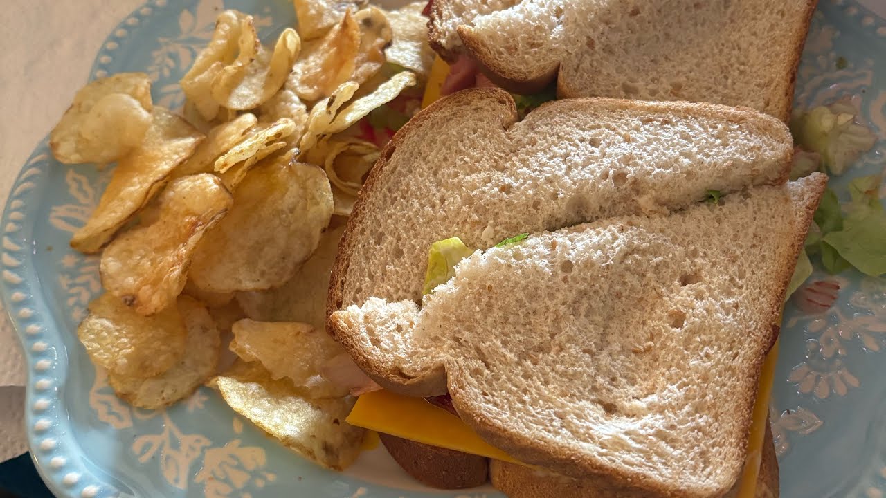 Just a fried bologna sandwich 🥪 