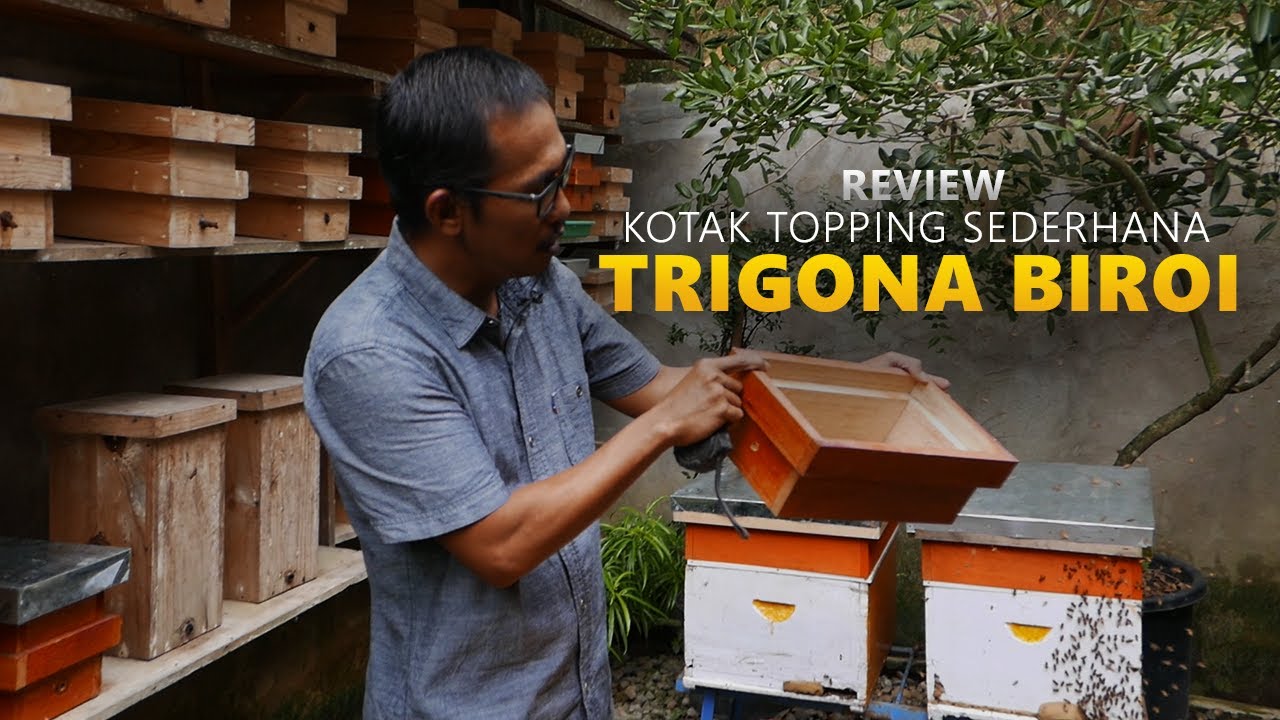Review Kotak Topping Sederhana TRIGONA BIROI