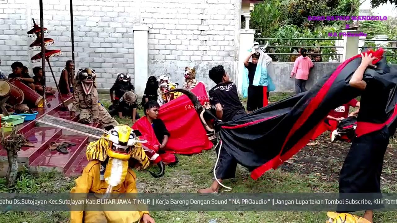 Atraksi Kewan Alas & Bantengan Sruduk | Jaranan ROGO SATRIO MANGGOLO Jln Sosrobahu SutoJayan Blitar