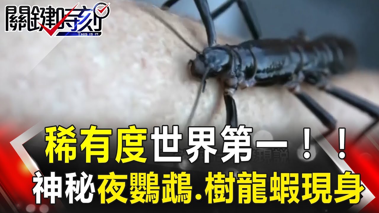 關鍵時刻 20171009節目播出版（有字幕）【精選集】