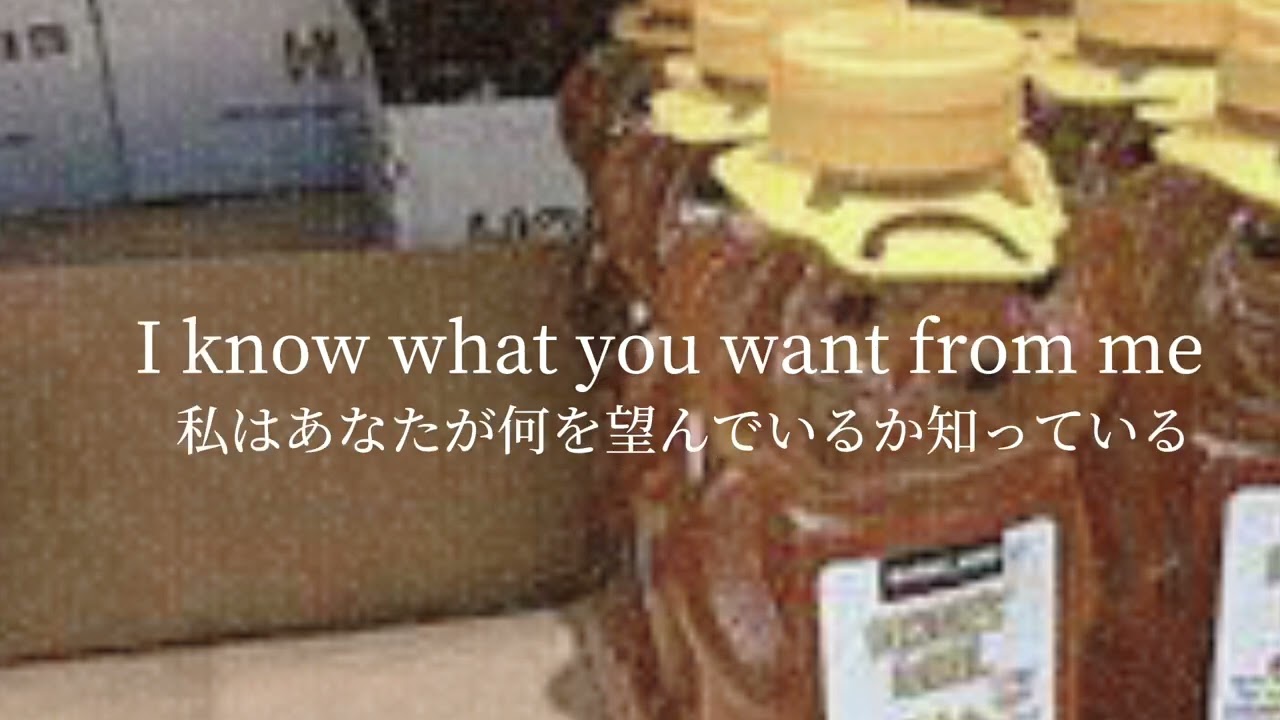 【和訳／意訳】Bumble Bee - マルハナバチ