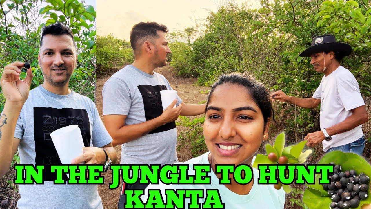 In The Jungle To Hunt Kanta 🫐| Konkani Vlog | Spaina And Angelo