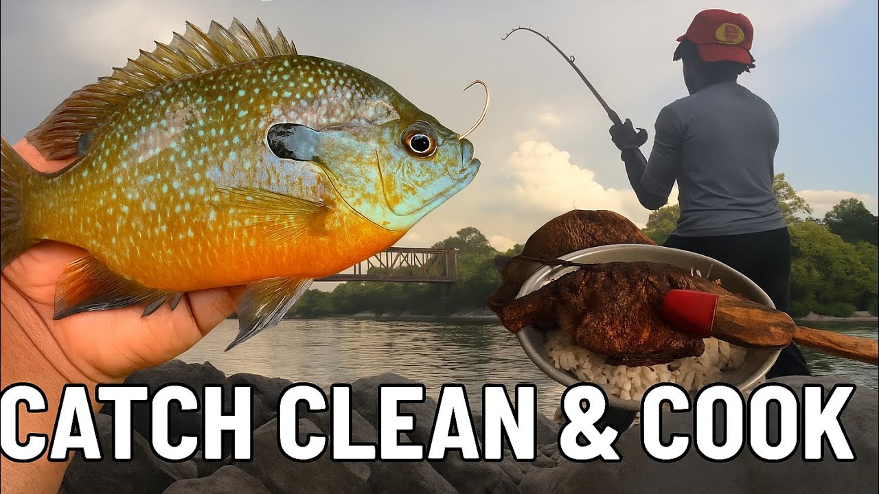 Fishing For Monster BLUEGILL!! {Catch Clean Cook} Fried Bluegill + Best Rig For Bait Fishing