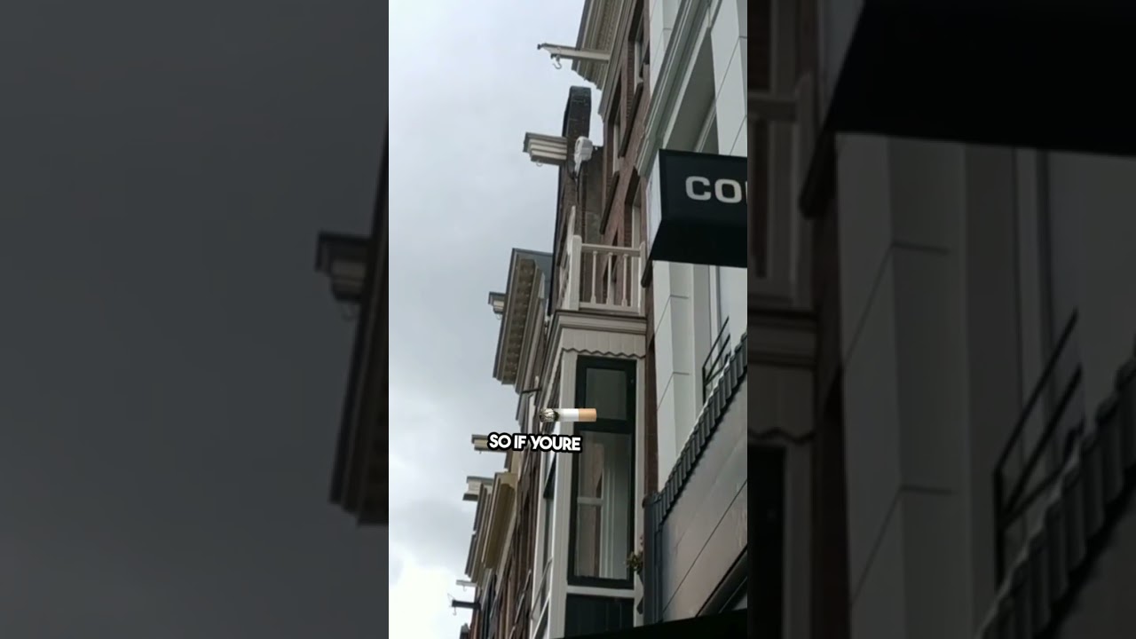 Netherlands Law