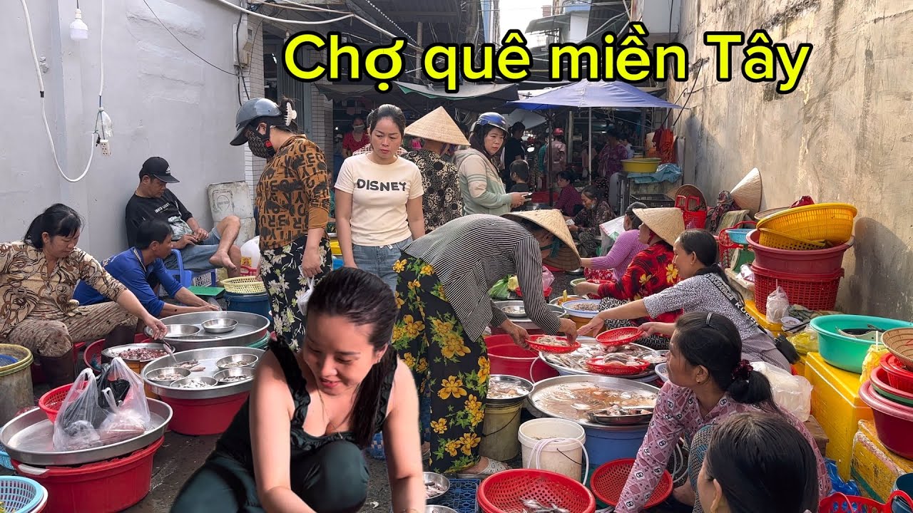Chợ quê bán cá đồng nhiều nhiều nhất “ở Vĩnh Long,chợ Tân lược chiên thu mua cá đồng | TKL 