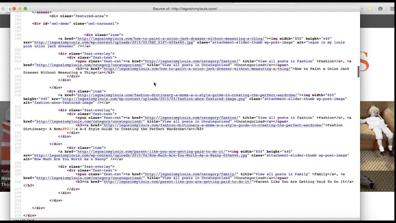 Check Source Code for Troubleshooting Google Indexing Issues