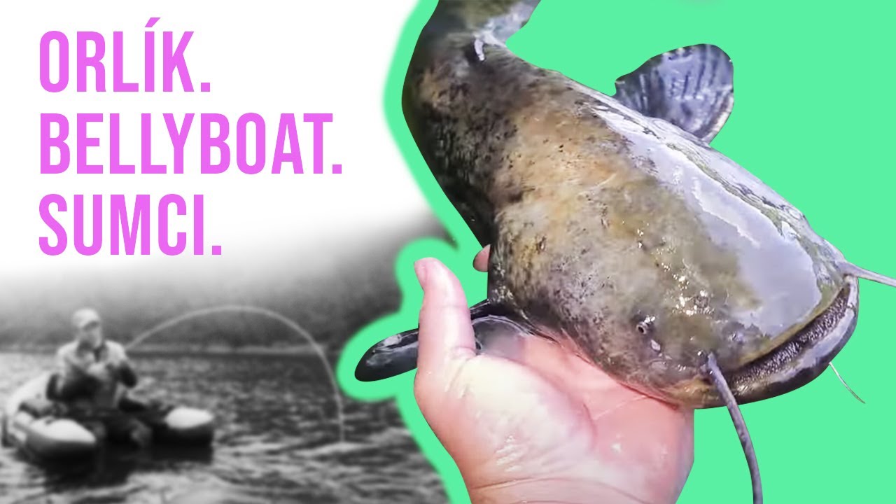 Sumci z Bellyboatu | Bellyboat fishing