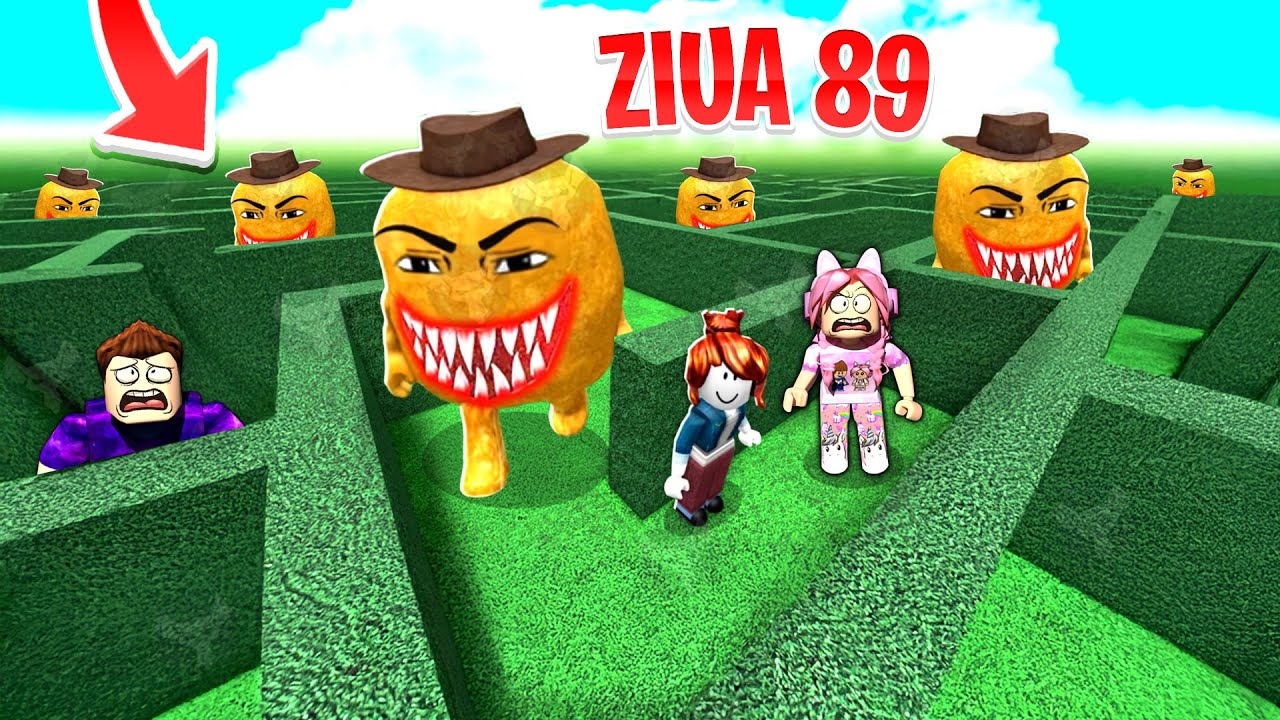 LABIRINTUL CU NUGGETS! NU SCAPI DE AICI! IMPOSIBIL