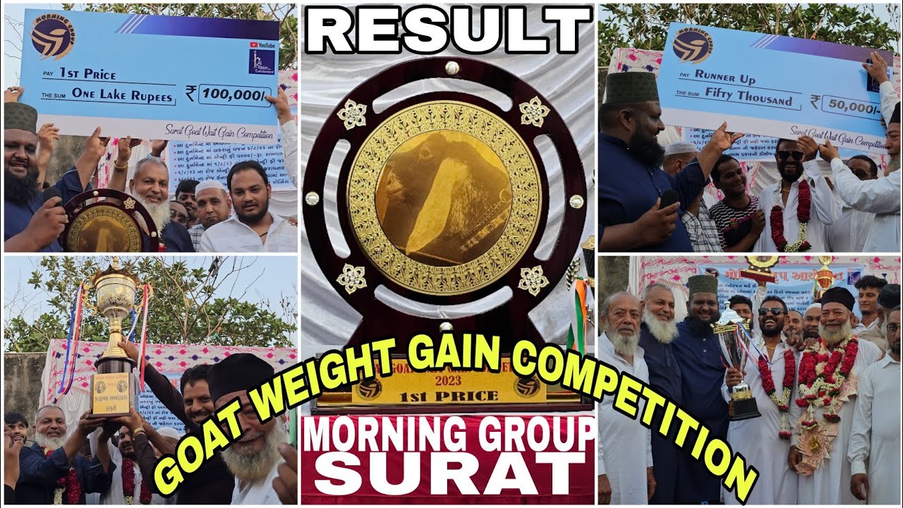 INDIA'S BIGGEST GOAT WEIGHT GAIN COMPETITION RESULT 11 JUNE  |MORNING GROUP SURAT | WATCH FULL VIDEO