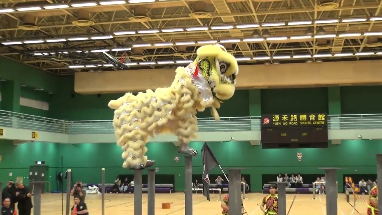 姜氏金龍醒獅團 20250427 香港特區運動員代表甄選賽
