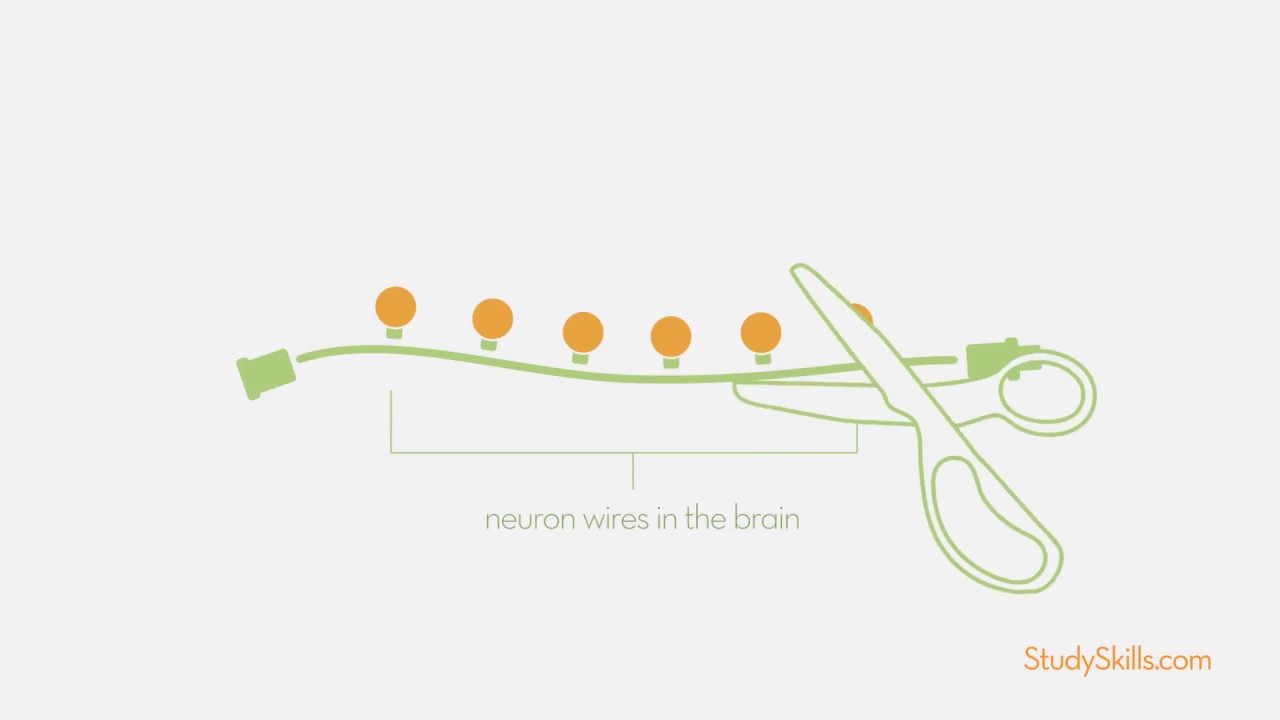 The Learning Disability Circuit: Why struggles happen (and how the brain can work around them)
