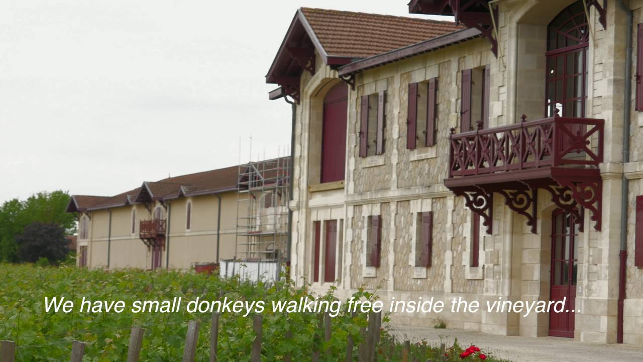 Biodynamics and great wine at ch&acirc;teau Pontet-Canet (Pauillac) with Jean-Michel Comme