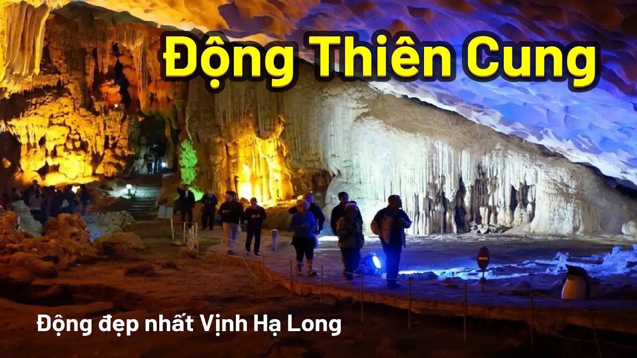 Động Thiên Cung - Động đẹp nhất Vịnh Hạ Long | Bạch Hoàng Travel