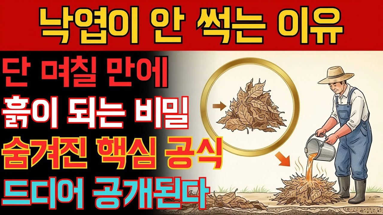 낙엽이 안 썩는 진짜 이유, 며칠 만에 흙으로 바뀌는 놀라운 방법