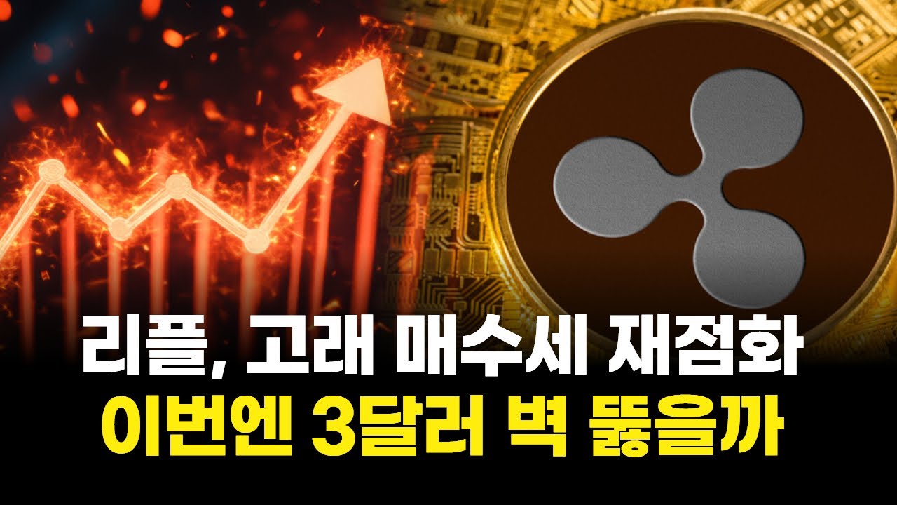 리플, 고래 매수세 재점화&hellip;이번엔 3달러 벽 뚫을까