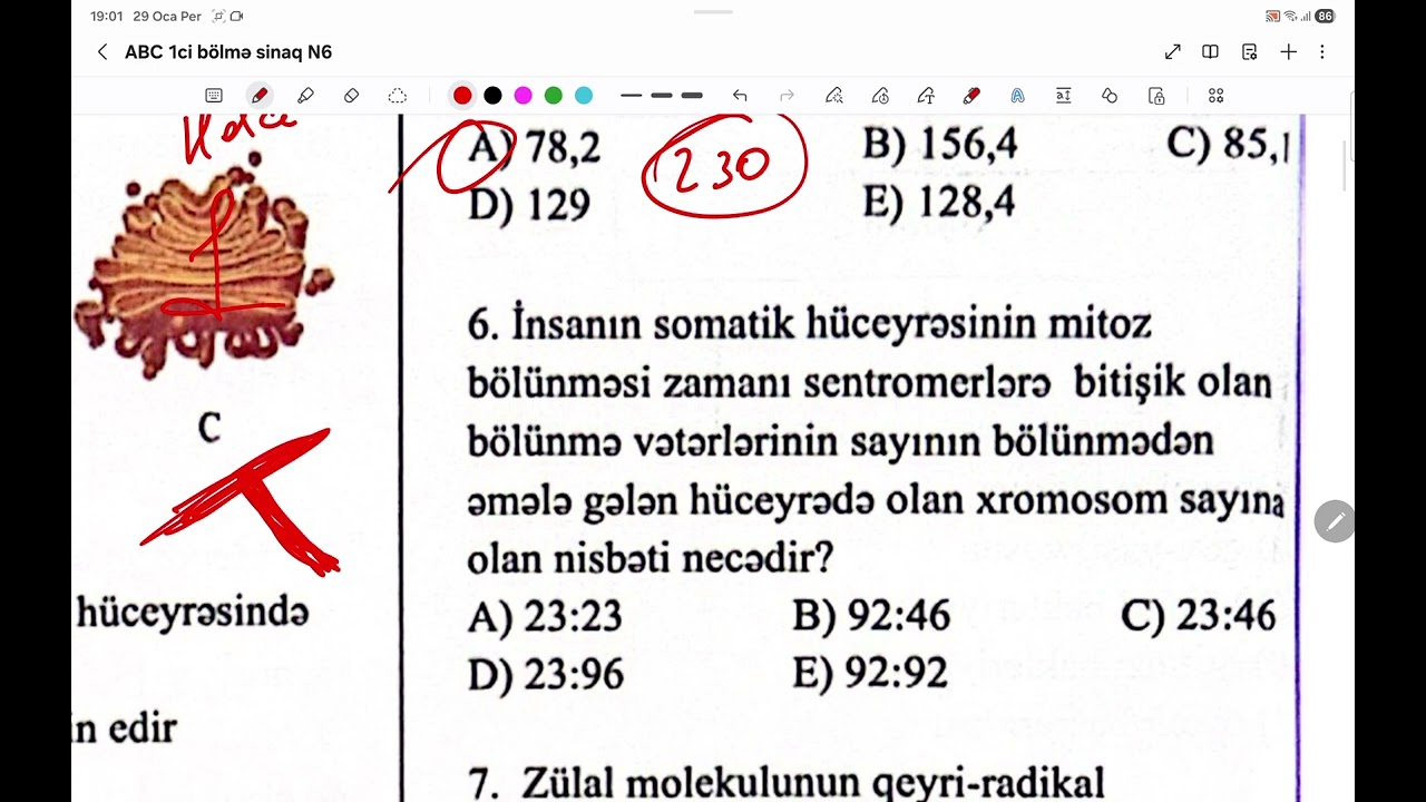 #ABCacademy 1ci bölmə Sınaq N6 test 1-10