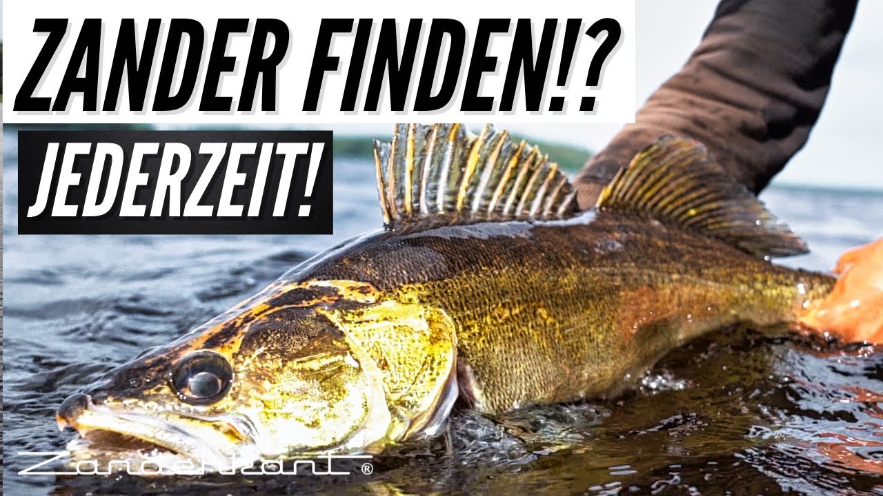 Zander finden in unbekannten Seen