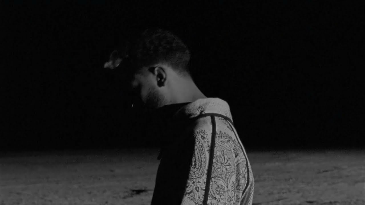 SHOBEE - AMBITIONS (Performance Visualizer)